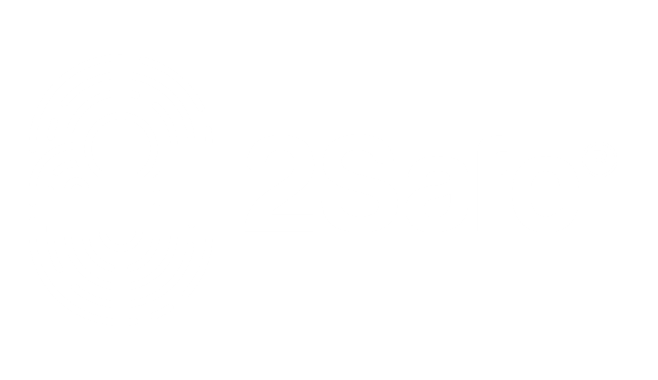 logo-2safe